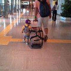 sqmldsi