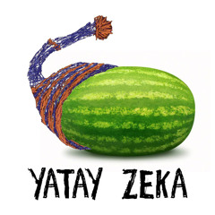 Yatay Zeka