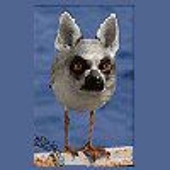 андрей zelinsky