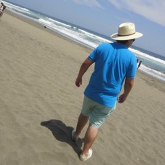 Animal Collective - My Girls (Hatchmatik Disco Bootleg)