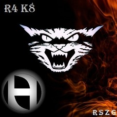 R4K8