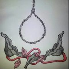 Luke Schoey Scholefield