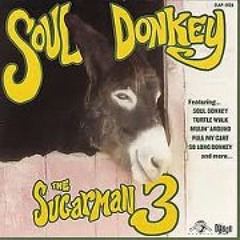 SoulDonkey the Magic Mule