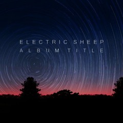 ElectricSheeep