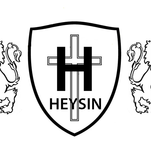 heysinp3’s avatar
