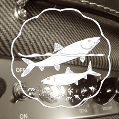 Bonefish Amps
