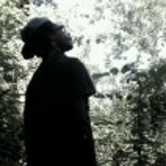 Amir Hassaun