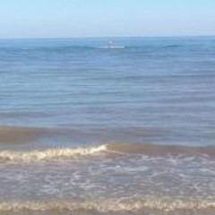 Harry Buffalo Hayter