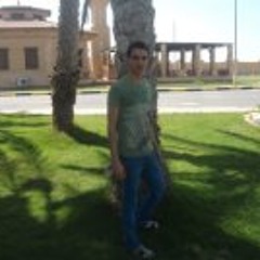 Mahmoud Ahmed Aboshady