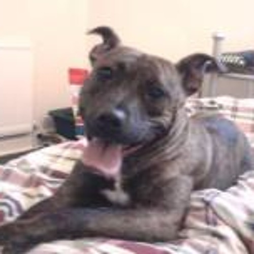 Acceleration Volume 6 - DJs Kenty & Cheeze MCs Viper Jonak Lukey P