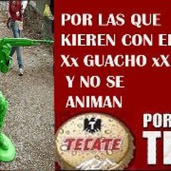 Guacho Zerox