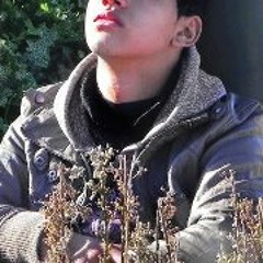 Amine MàSsér l'Original