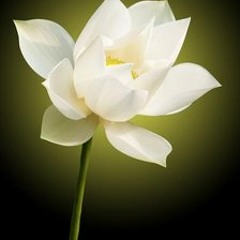 02..tibetan mantra