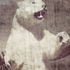 No Copyright Background Music