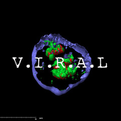 viral-covergarden