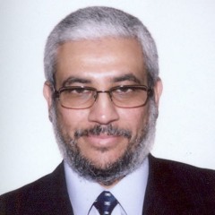 Ahmed Abdel Motaleb - أحمد عبد المطلب
