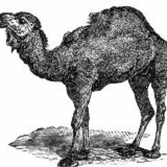 ocamel