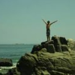 Sebastian Araya Flores