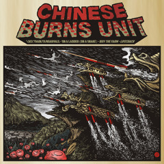 Chinese Burns Unit