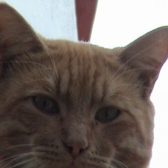 Guillermo Hernandez 33