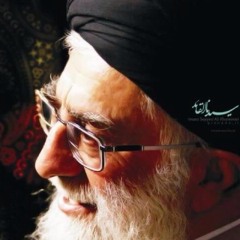 shreef radhi