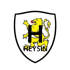 heysinp33