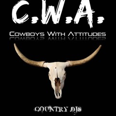 Maverick-MidnightCowboy