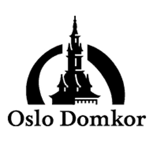 Oslo Domkor’s avatar