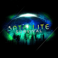 Satellite Survival