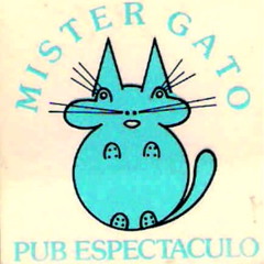 Mister Gato