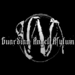 Guardian Angel Asylum