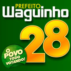 waguinho28