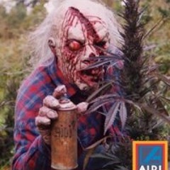 Wonabc Colour Kamikaze