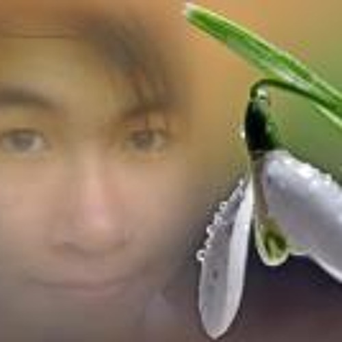 Stream Nguyen Van Tuan 1 music | Listen to songs, albums, playlists for ...