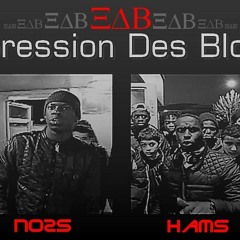 Xpression Des Bloks (XDB)