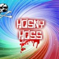 Hosny Hoss