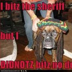 Blizzad Rasta