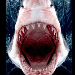 Shark Scream