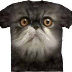 Vanessa Williams - The Comfort Zone (Comfortable Percapella It's A Late Nite Thing!)