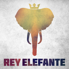 Banda Rey Elefante
