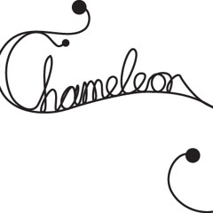 Mr.Chameleon