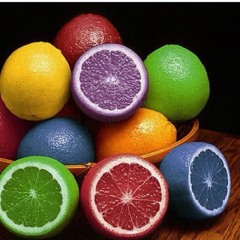 ♛ pɾınɔəss sɐɾɐ ♛