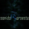 Sonido Noroeste