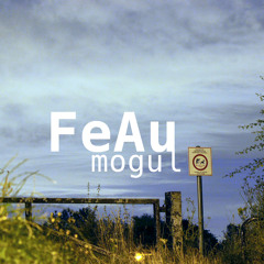 FeAu Mogul