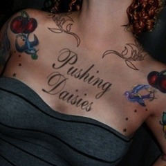 Pushing Daisies Official