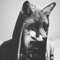 fozy_ho