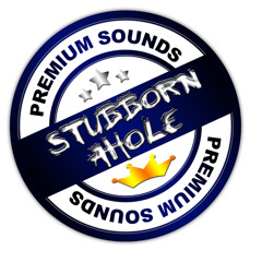 Stubborn Ahole