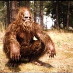 Sasquatch XXL