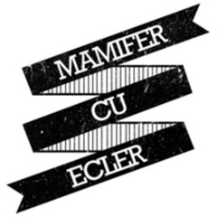 Mamifer Cu Ecler