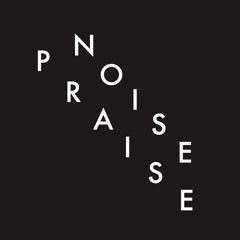 NOISE PRAISE RECORDS